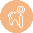 Hygienist Services